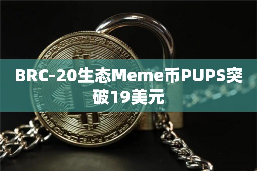 BRC-20生态Meme币PUPS突破19美元