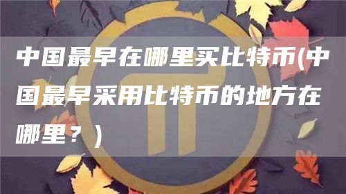中国最早在哪里买比特币(中国最早采用比特币的地方在哪里？)