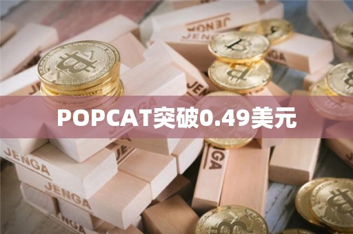 POPCAT突破0.49美元
